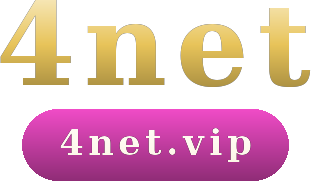 4net logo